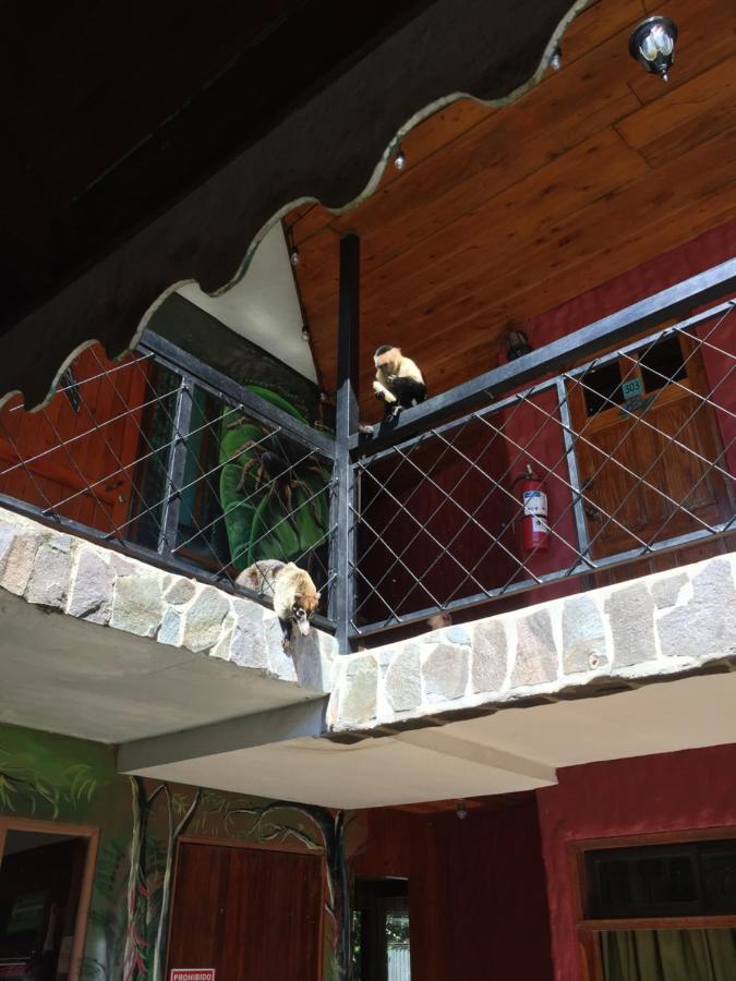 Manakin Lodge Monteverde Εξωτερικό φωτογραφία